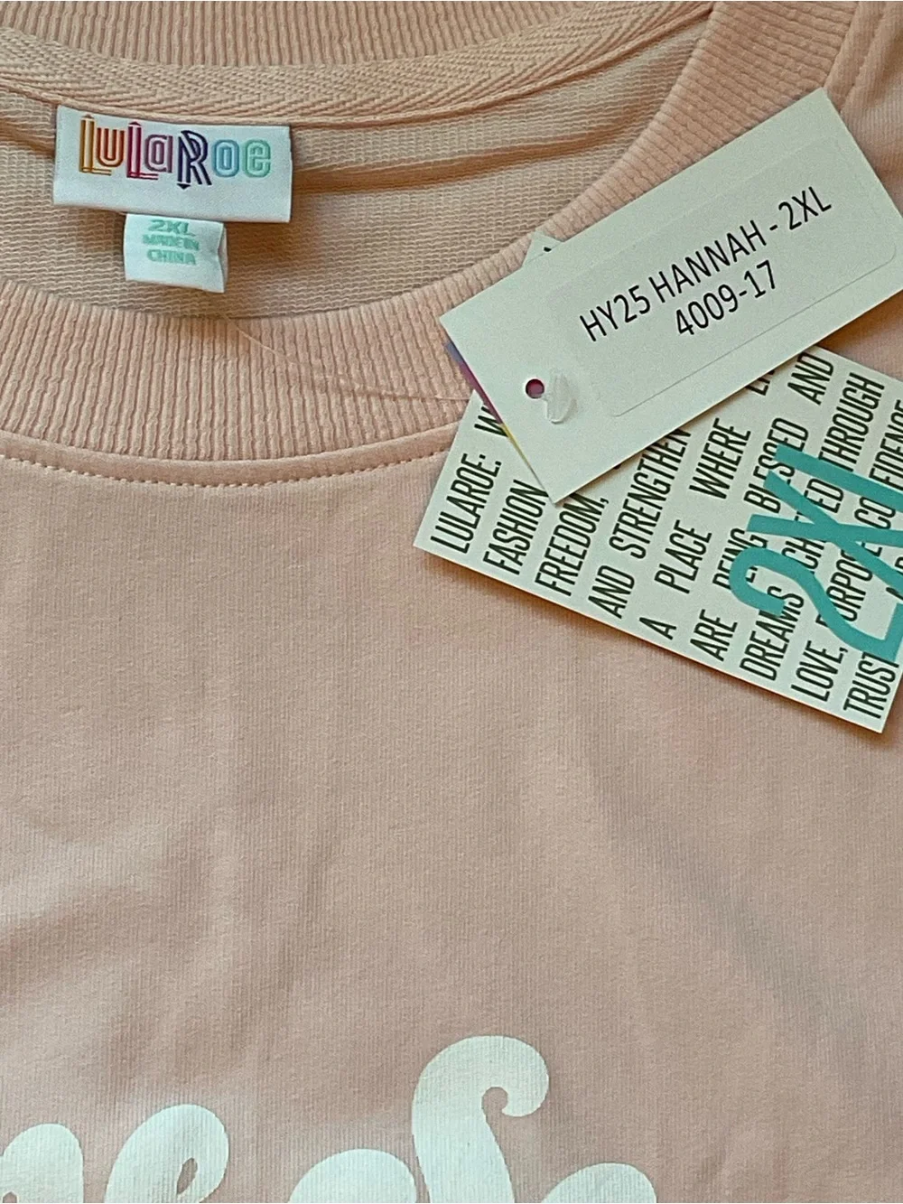Light Pink Holiday Graphic Sweatshirt Top with Festive Characters